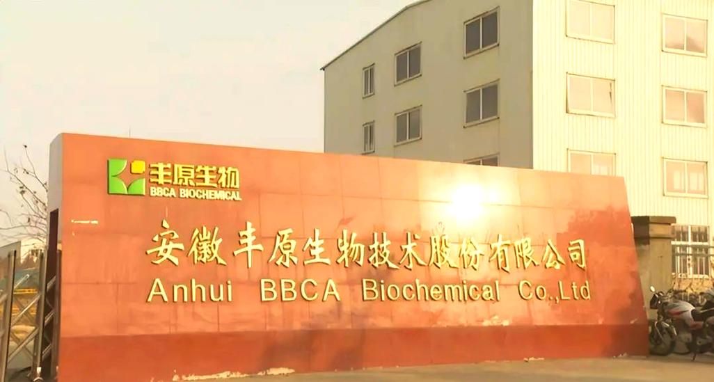 固镇县生物基产业崛起:环保材料的未来
