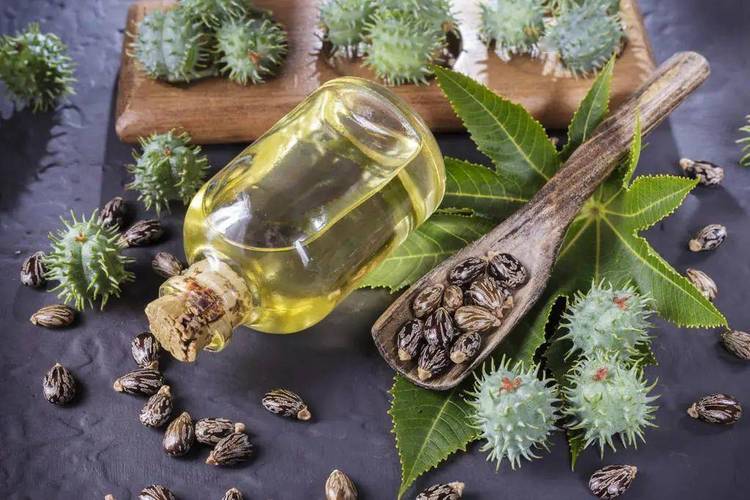 可再生生物基pa1010开辟刷丝新途径